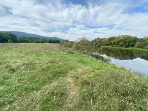 Dražba louky, Všenory, 601 m2