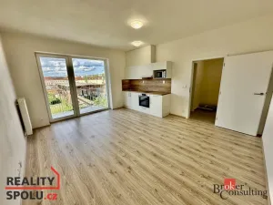 Pronájem bytu 1+kk, Brno - Trnitá, Křenová, 32 m2