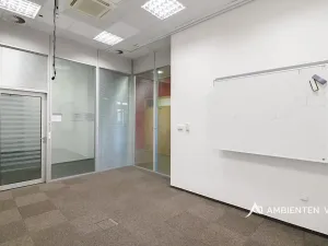 Pronájem kanceláře, Brno, 248 m2