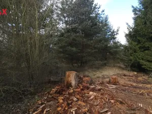 Prodej pozemku pro bydlení, Olešná, 654 m2