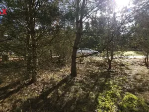 Prodej pozemku pro bydlení, Olešná, 654 m2