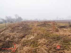 Prodej pozemku pro bydlení, Olešná, 2187 m2