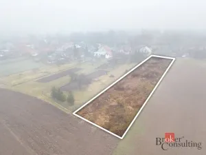Prodej pozemku pro bydlení, Olešná, 2187 m2