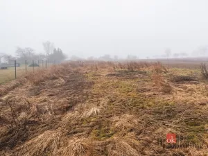 Prodej pozemku pro bydlení, Olešná, 2187 m2