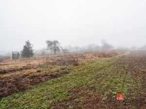 Prodej pozemku pro bydlení, Olešná, 2187 m2