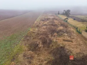 Prodej pozemku pro bydlení, Olešná, 2187 m2