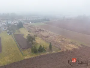 Prodej pozemku pro bydlení, Olešná, 2187 m2