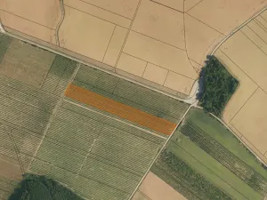 Prodej sadu/vinice, Červené Pečky, 13966 m2