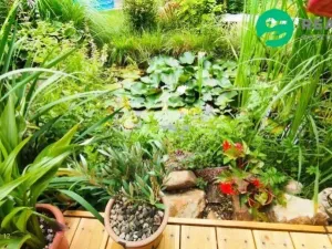 Prodej chaty, Kadaň - Tušimice, 30 m2