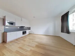 Pronájem bytu 1+kk, Brno, Vranovská, 29 m2