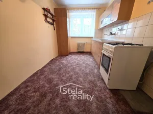 Prodej bytu 2+1, Opava, Na Rybníčku, 56 m2