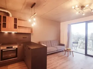 Pronájem bytu 2+kk, Brno, V rejích, 49 m2