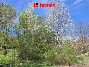 Prodej zahrady, Brno, Cihelní, 902 m2