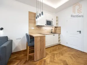 Pronájem bytu 1+kk, Praha - Střešovice, Myslbekova, 30 m2