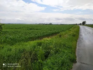 Prodej komerčního pozemku, Dolní Roveň, 13103 m2