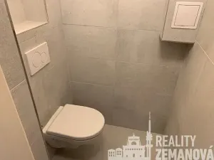 Pronájem bytu 1+1, Praha - Vinohrady, Řipská, 48 m2