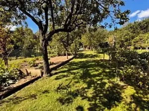 Prodej rodinného domu, Rajhrad, Ostrůvek, 95 m2