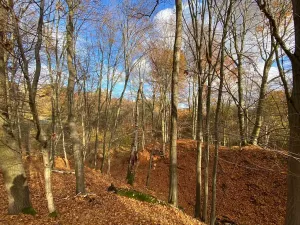 Prodej pozemku pro bydlení, Jílové u Prahy, 14982 m2