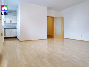 Pronájem bytu 1+kk, Praha - Košíře, Plzeňská, 34 m2
