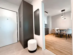 Pronájem bytu 2+kk, Praha - Žižkov, Olgy Havlové, 52 m2