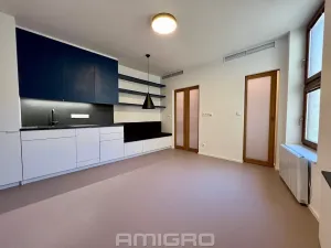 Pronájem bytu 1+kk, Brno, Peroutková, 25 m2