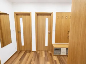 Pronájem bytu 3+kk, Praha - Karlín, Molákova, 72 m2