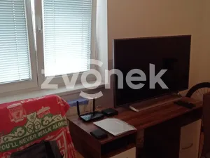 Prodej bytu 1+kk, Zlín, Podlesí V, 30 m2