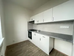 Pronájem bytu 2+1, Litvínov, Podkrušnohorská, 51 m2