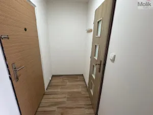 Pronájem bytu 1+1, Most, U Stadionu, 26 m2