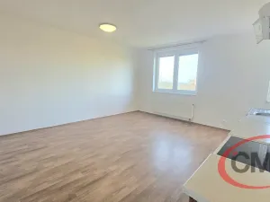 Pronájem bytu 2+kk, Praha, Hnězdenská, 54 m2