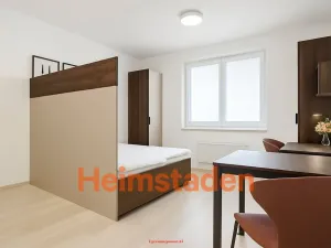 Pronájem bytu 1+kk, Plzeň - Jižní Předměstí, Magisterská, 27 m2