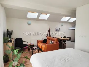 Pronájem bytu 1+kk, České Budějovice - České Budějovice 3, Pekárenská, 35 m2