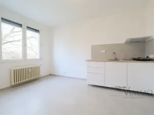 Pronájem bytu 1+kk, České Budějovice - České Budějovice 3, Plzeňská, 20 m2