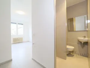 Pronájem bytu 1+kk, České Budějovice - České Budějovice 3, Plzeňská, 20 m2