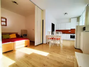 Pronájem bytu 1+kk, Písek, Pražská, 37 m2
