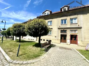 Pronájem bytu 2+1, Bor, náměstí Republiky, 57 m2