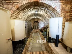 Prodej - jiné, Prušánky, Nechory, 145 m2