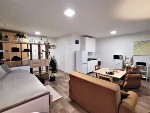 Pronájem bytu 1+kk, Litoměřice - Předměstí, Revoluční, 35 m2