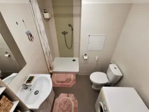 Pronájem bytu 1+kk, Litoměřice - Předměstí, Revoluční, 35 m2