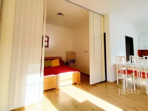 Pronájem bytu 1+kk, Písek, Pražská, 37 m2