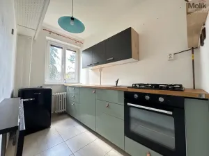 Pronájem bytu 1+1, Ústí nad Labem - Střekov, Tolstého, 33 m2