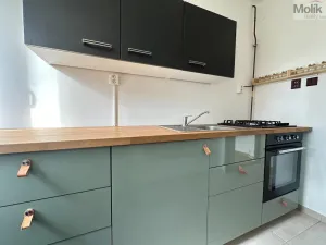 Pronájem bytu 1+1, Ústí nad Labem - Střekov, Tolstého, 33 m2