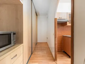 Pronájem bytu 2+kk, České Budějovice - České Budějovice 3, Kubatova, 55 m2