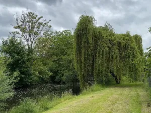 Prodej rodinného domu, Znojmo, 140 m2