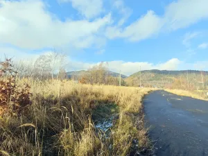 Prodej komerčního pozemku, Hroznětín, Nádražní, 7179 m2