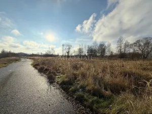 Prodej komerčního pozemku, Hroznětín, Nádražní, 7179 m2