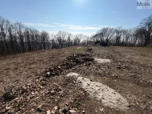 Prodej pozemku pro bydlení, Lom, Alšova, 2648 m2