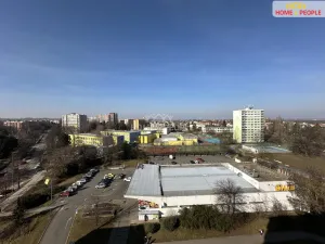 Prodej bytu 2+1, Kolín - Kolín III, Seifertova, 64 m2