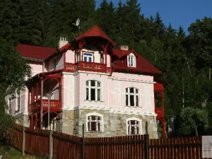 Pronájem vily, Karlovy Vary, K Přehradě, 250 m2