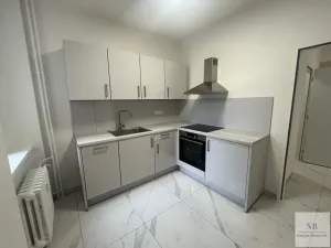 Pronájem bytu 1+1, Karlovy Vary, Koptova, 55 m2